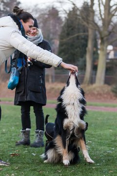 Bild 95 - Hundeshooting